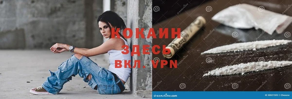 сатива Дмитров
