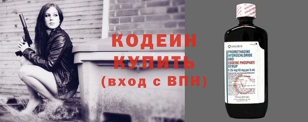 мяу мяу мука Дмитриев