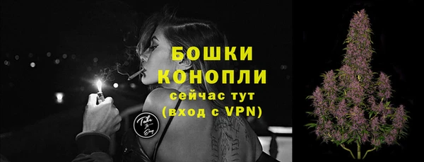 мяу мяу мука Дмитриев