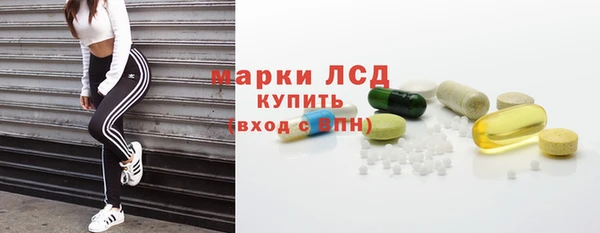 мяу мяу мука Дмитриев