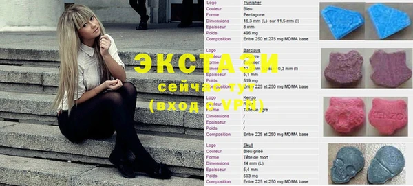 ECSTASY Гусиноозёрск