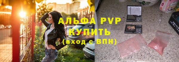 мяу мяу мука Дмитриев