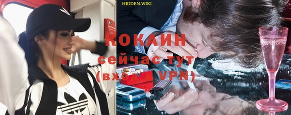 мяу мяу мука Дмитриев