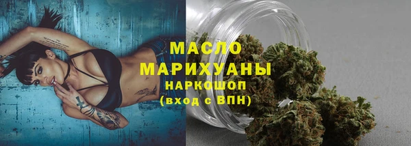 сатива Дмитров