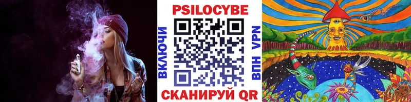 Псилоцибиновые грибы Psilocybe Пятигорск